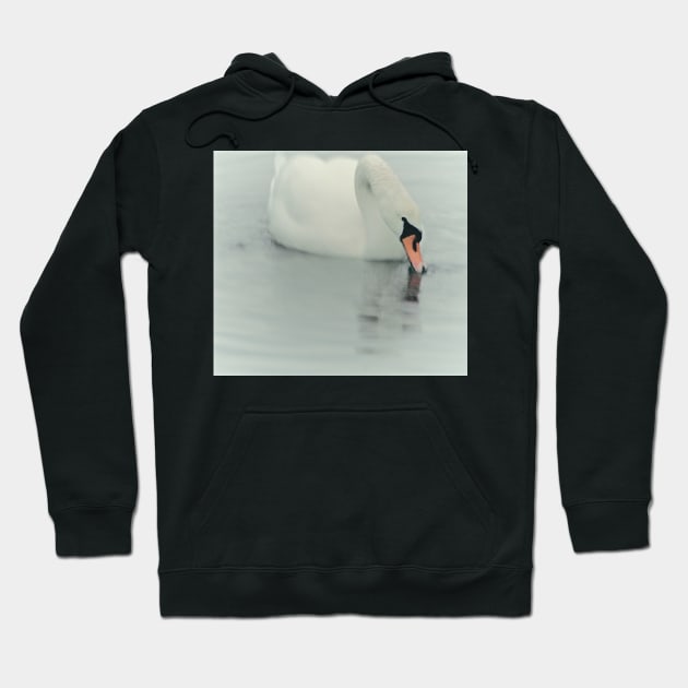 THE ROYALS LIKE SWANNING AROUND..! Hoodie by dumbodancer